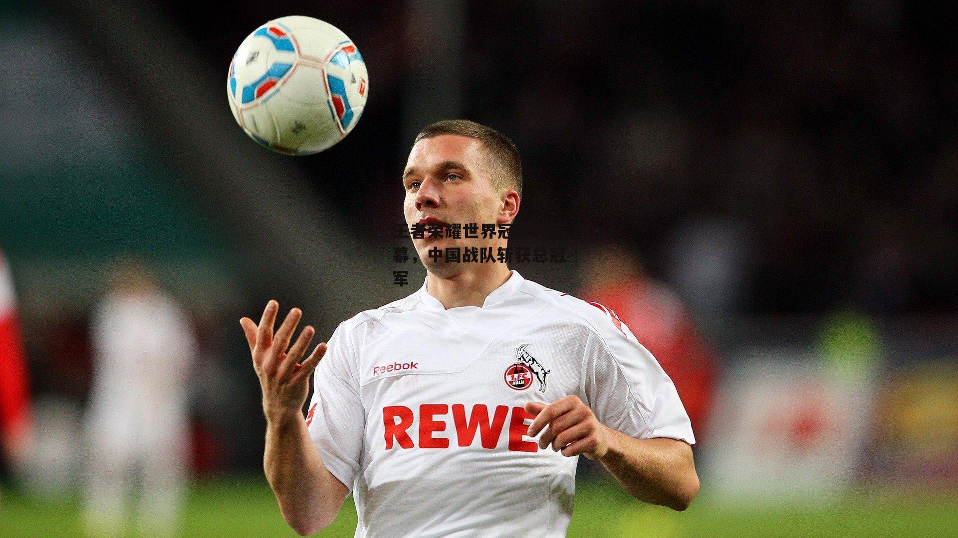 【熊猫体育官网】王者荣耀世界冠军杯落幕，中国战队斩获总冠军